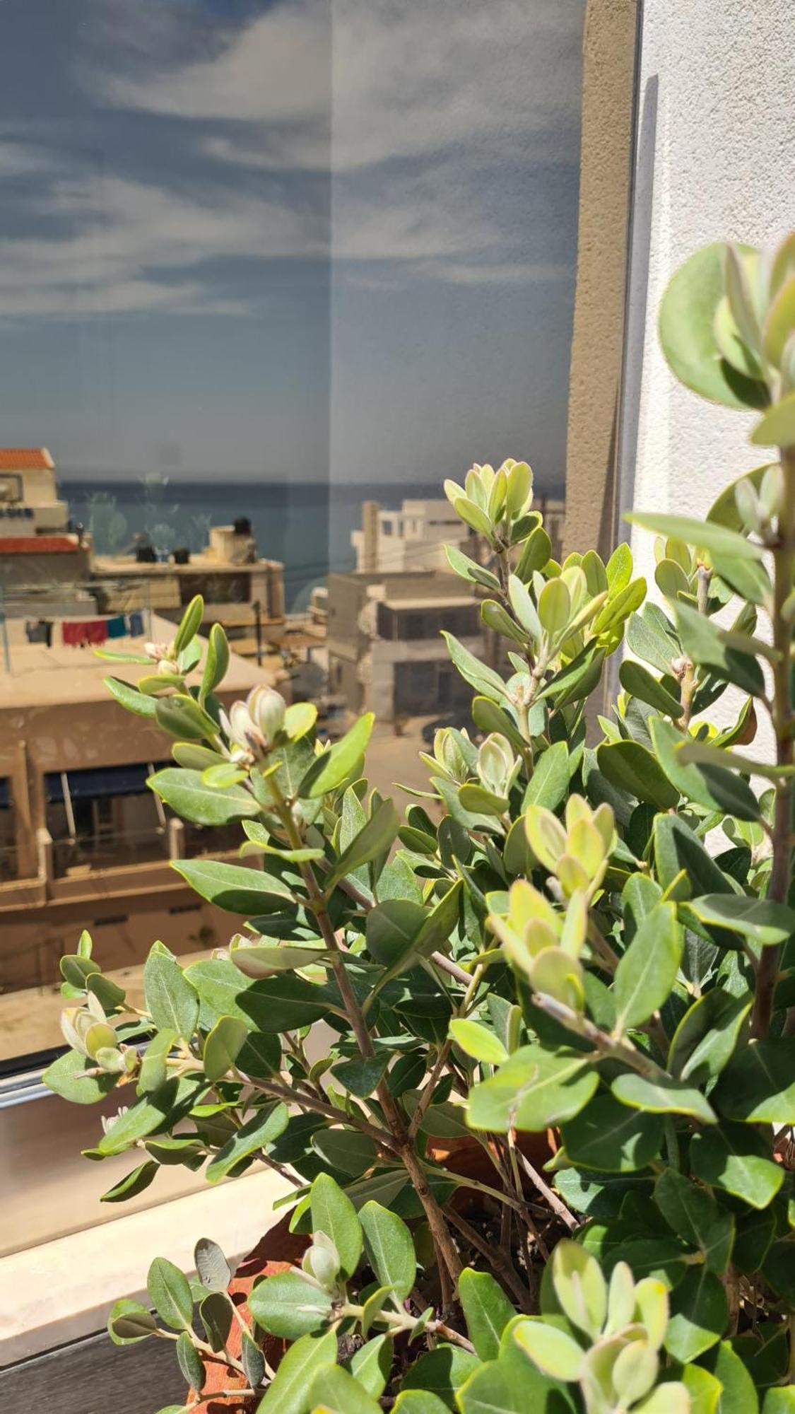 Elite Residence كالاماكي المظهر الخارجي الصورة